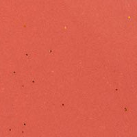 Clean Fresh Jelly Water Tint - 40 - Jelly Nude