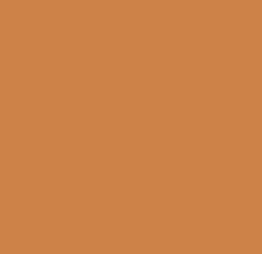 Smoothers Moisturizing Concealer Stick - 720 - Deep