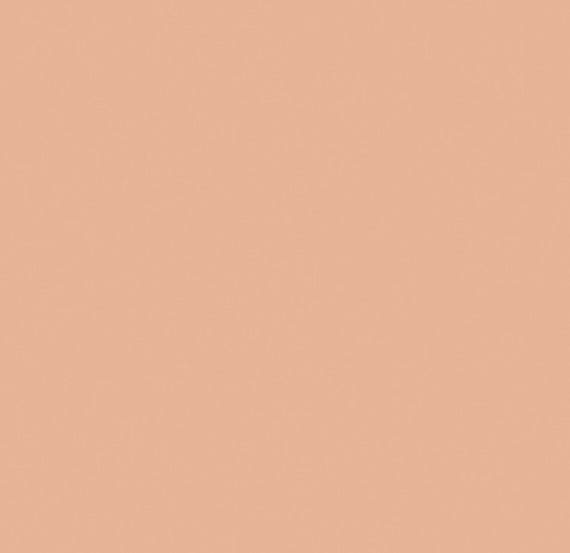 Smoothers Moisturizing Concealer Stick - 715 - Medium