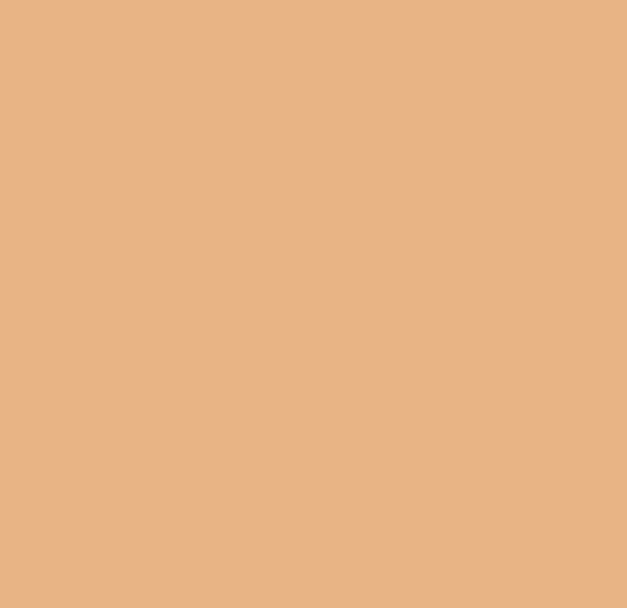 Clean Matte Oil-Free Concealer - 310 - Medium/Deep
