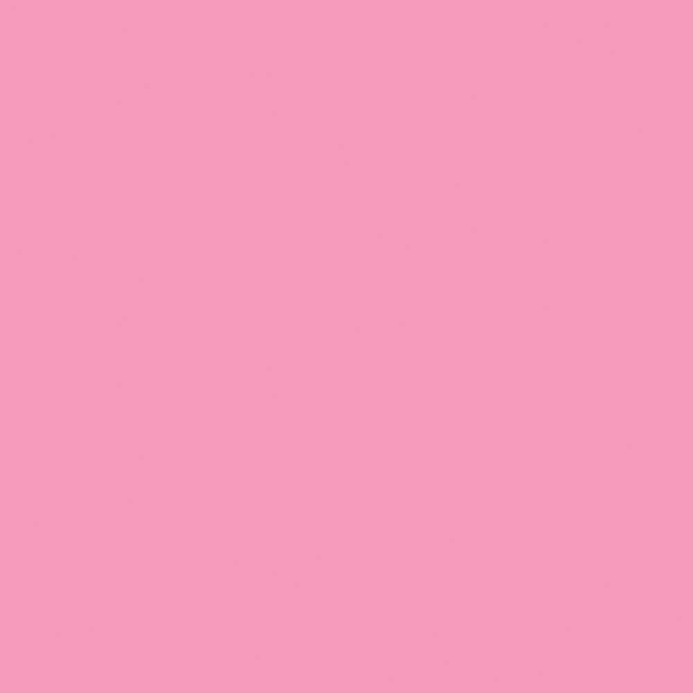 TruBlend Skin Enhancer Baked Luminous Blush  - 400 Please Please Pink