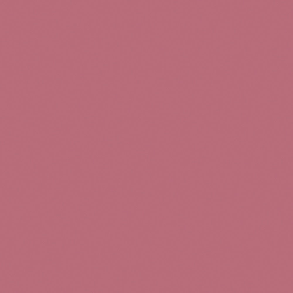 Outlast Lipstain - 20 Admire