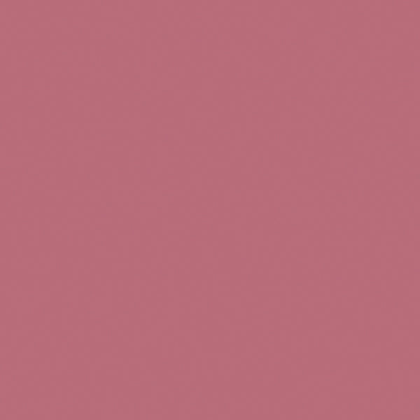 Outlast Lipstain - 20 Admire