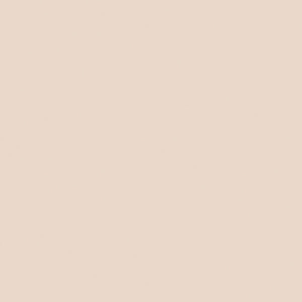 TruBlend Undercover Concealer - L100 - Fair Porcelain